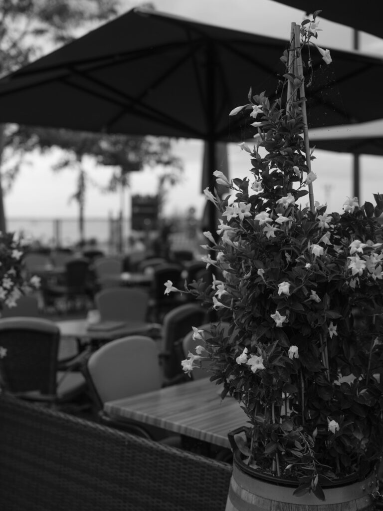 Parasols for a flower cafe, Amsterdam - Parasols - Restaurants